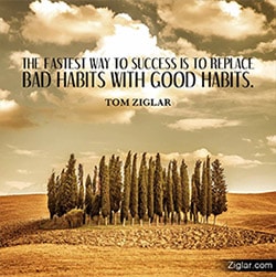 cover_badgoodhabits